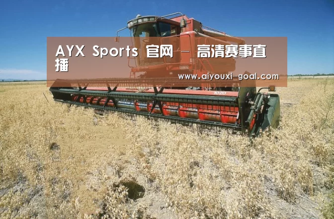 产品名称三