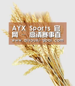 AYX Sports 官网 - 高清赛事直播