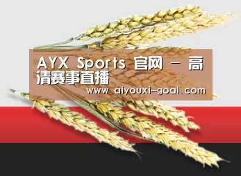 AYX Sports 官网 - 高清赛事直播
