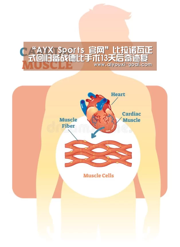 “AYX Sports 官网”比拉诺瓦正式回归备战德比手术13天后奇迹复出(图1) AYX Sports 官网