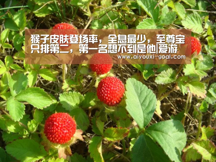 猴子皮肤登场率,全息最少,至尊宝只排第二,第一名想不到是他|爱游戏娱乐平台(图2) 爱游戏真人平台