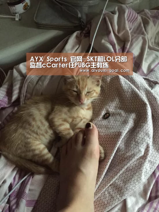 AYX Sports 官网-SKT前LOL分部监督cCarter任PUBG主教练(图1) 爱游戏最新地址