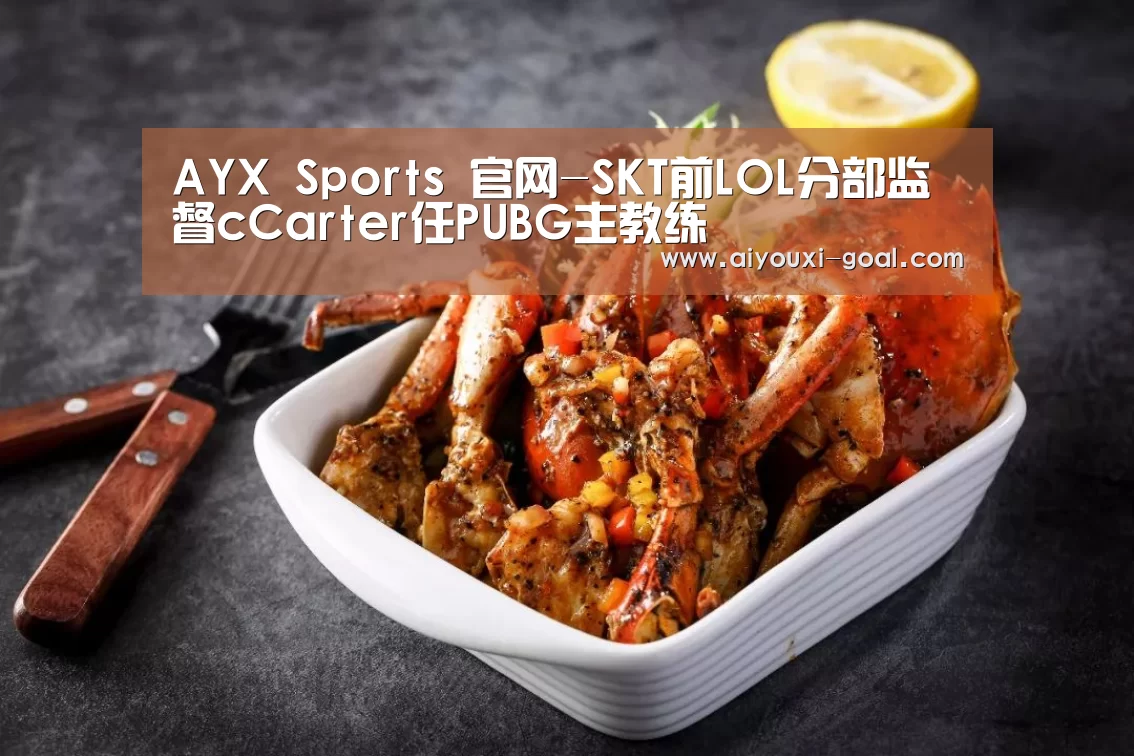 AYX Sports 官网-SKT前LOL分部监督cCarter任PUBG主教练(图2) 爱游戏最新地址