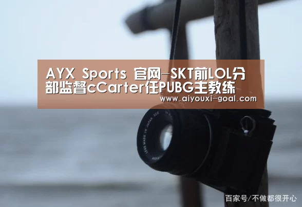 AYX Sports 官网-SKT前LOL分部监督cCarter任PUBG主教练(图3) 爱游戏娱乐平台